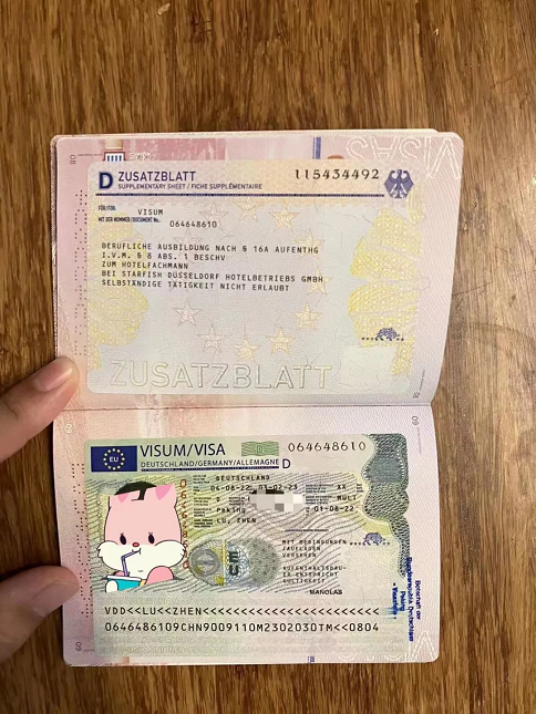 【案例分享】既然双元制offer来了，那就重返德国吧！ (https://www.aery-syz.com/) 学生案例 第5张